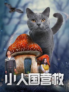 国产精品三级视频